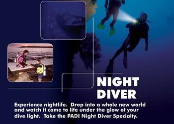 night-diver
